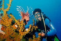 TOURS IN VIETNAM: Diving and snorkeling at Mun Island